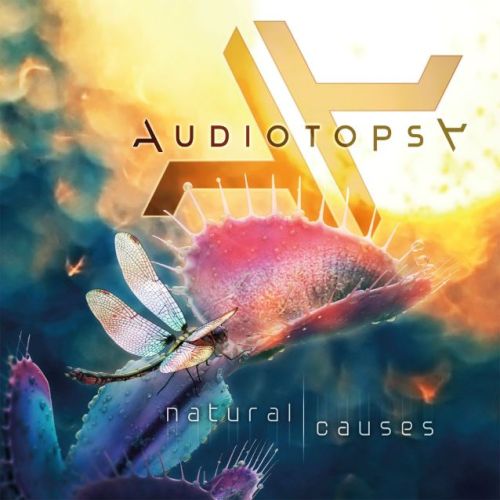 Audiotopsynaturalcausescd