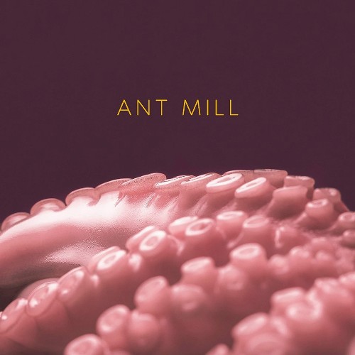 Antmill