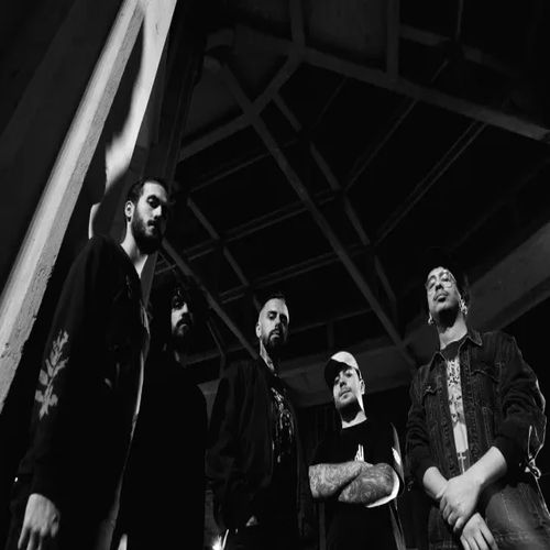 Noise trail immersion